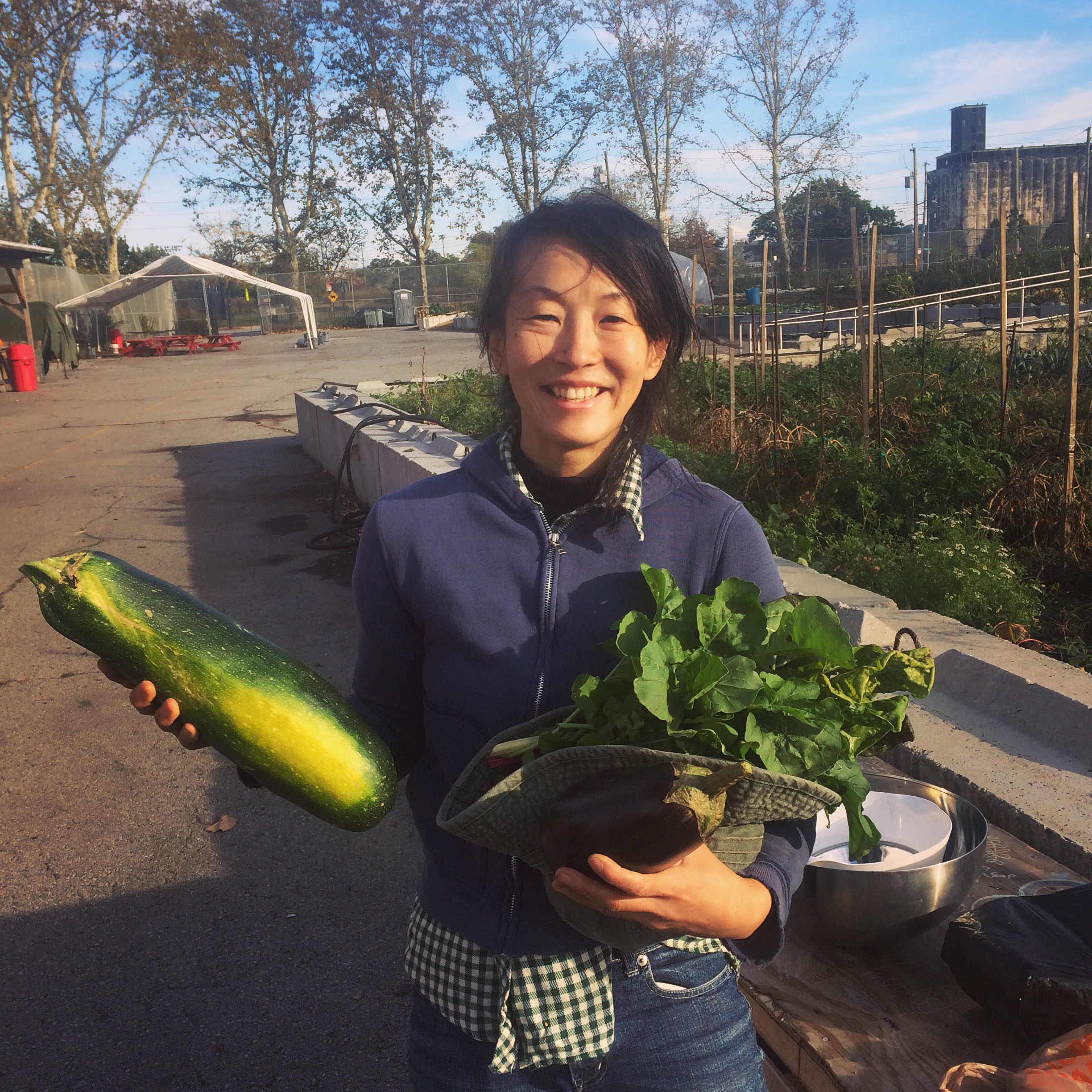  Last of the harvest 