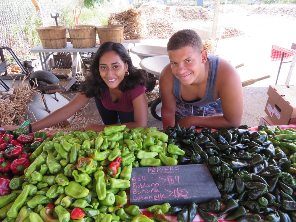  The market crew showing off their beautiful pepper display. 