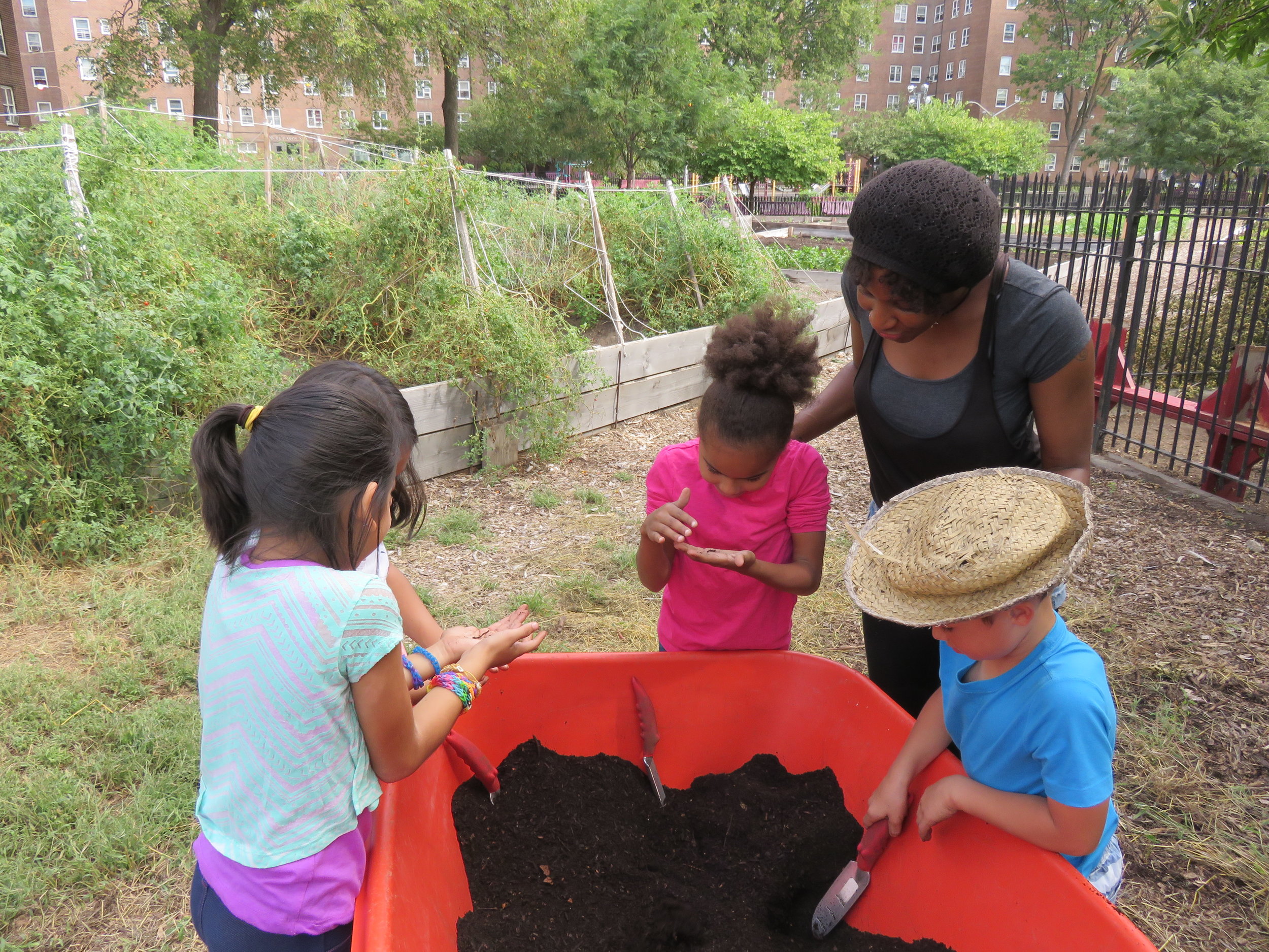  Shannon showing a group of PS 15 students around the NYCHA Red Hook Houses farm. 