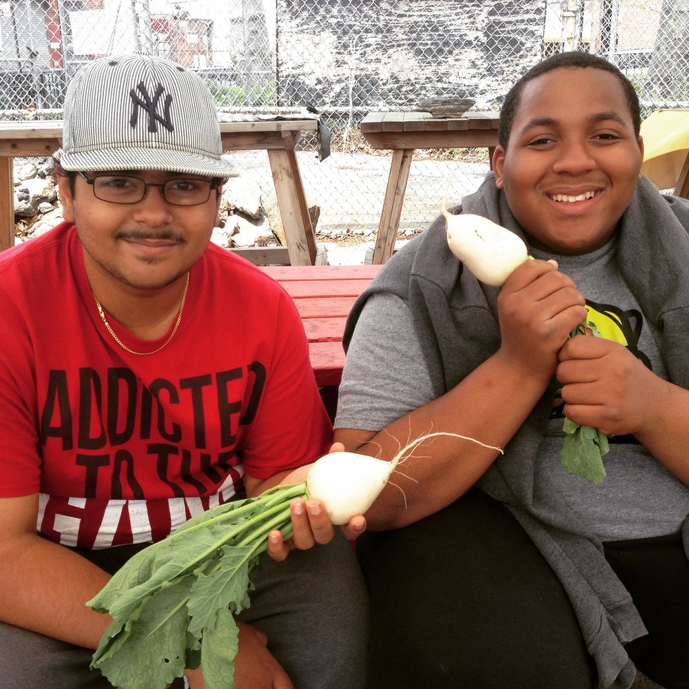  Otis &amp; Thomas found white egg turnips! 