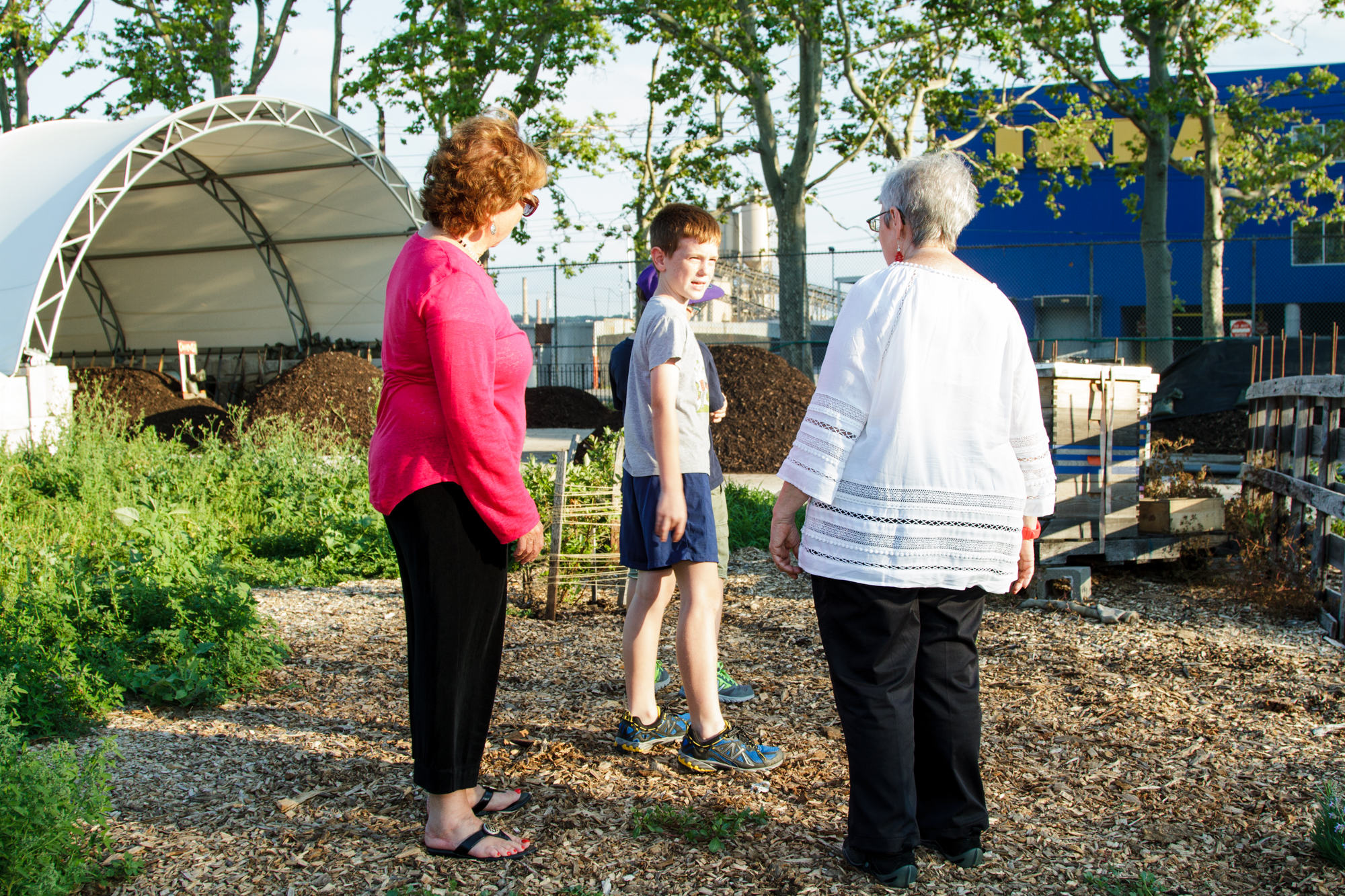 Red Hook Community Farm_Sherridon Poyer-0717.jpg