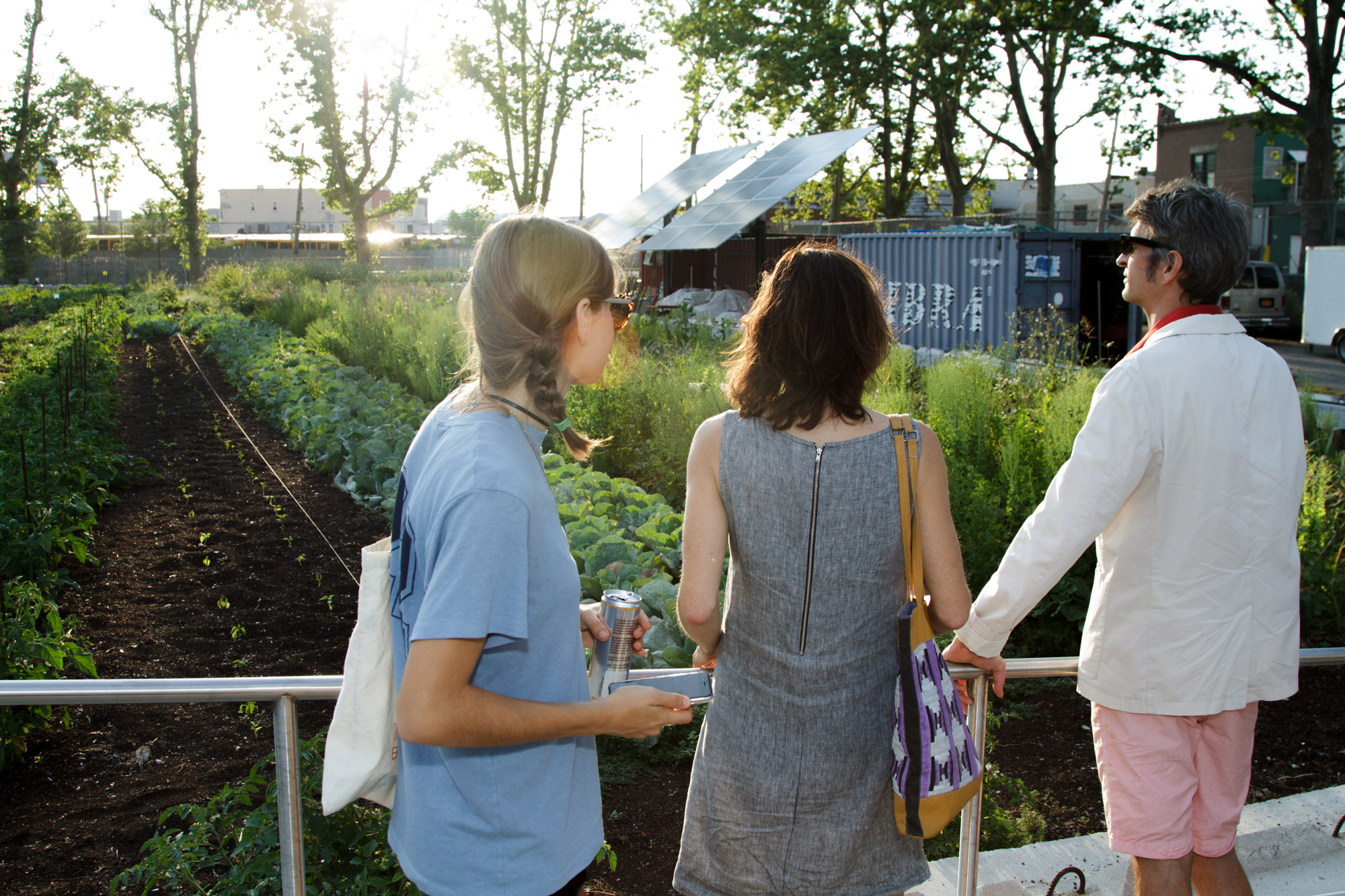 Red Hook Community Farm_Sherridon Poyer-0787.jpg