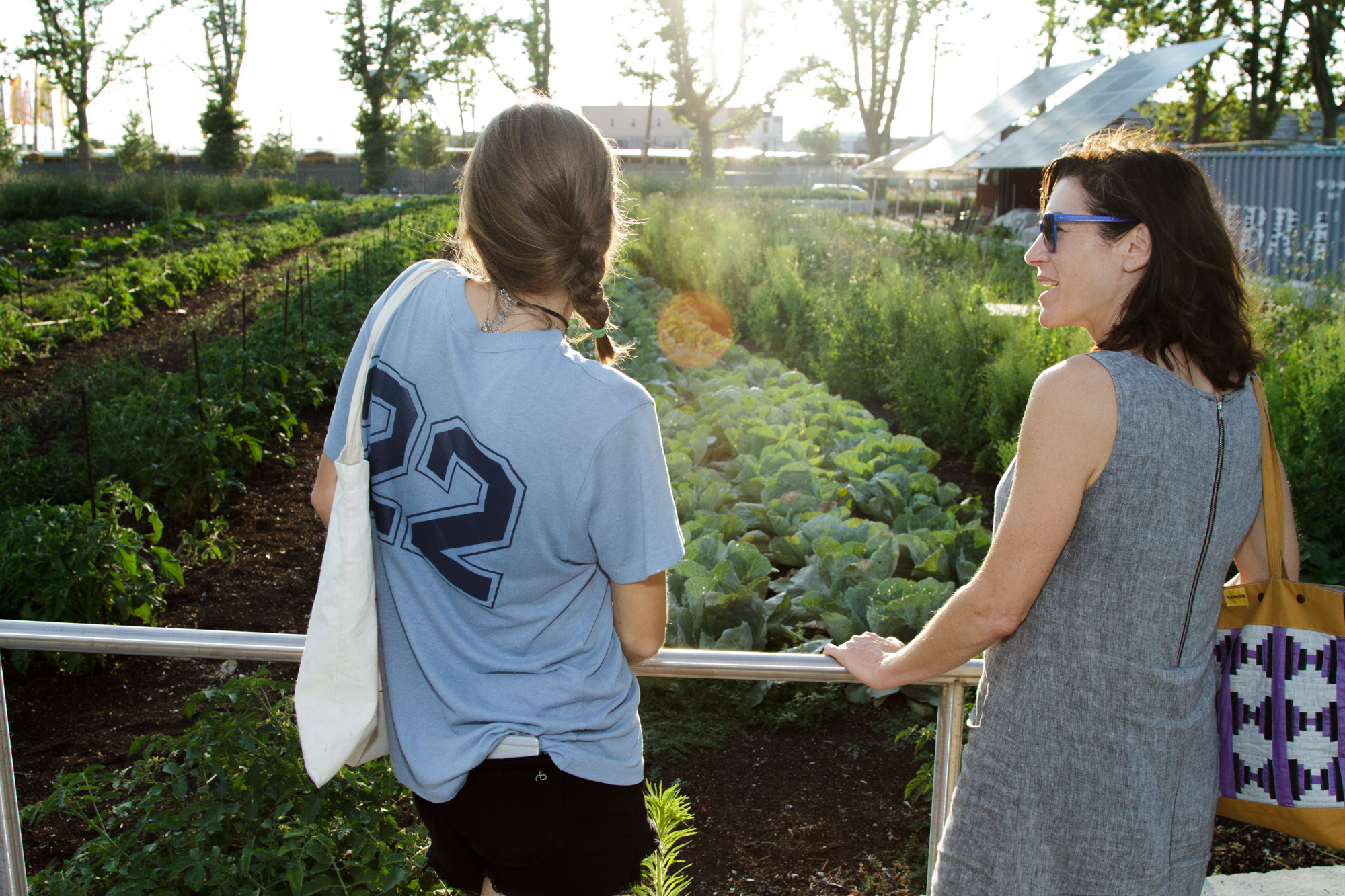 Red Hook Community Farm_Sherridon Poyer-0788.jpg