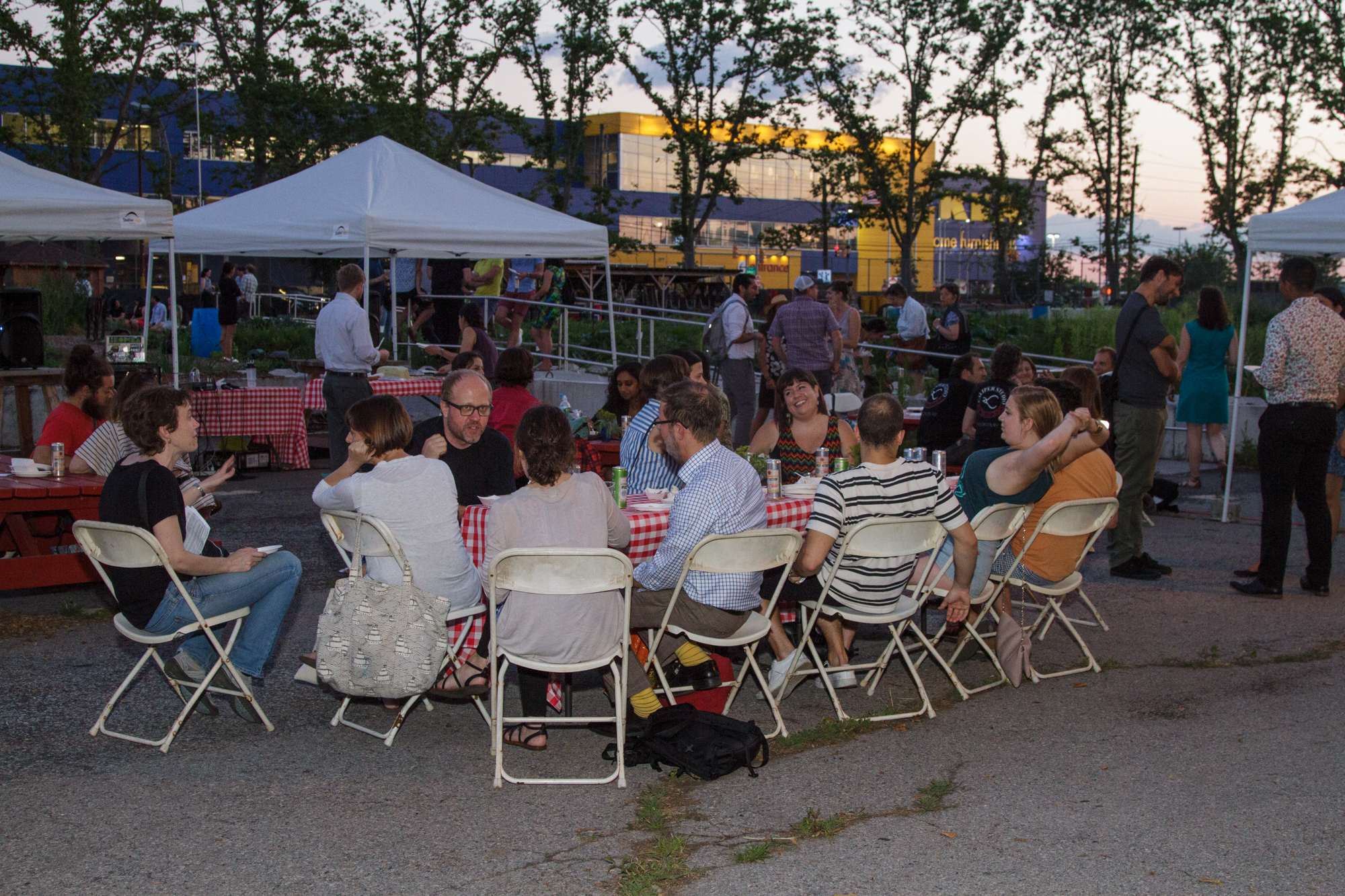 Red Hook Community Farm_Sherridon Poyer-0956.jpg