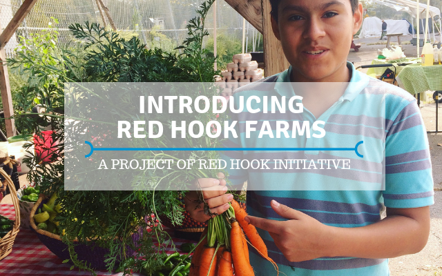 Red Hook Farms intro (1).png