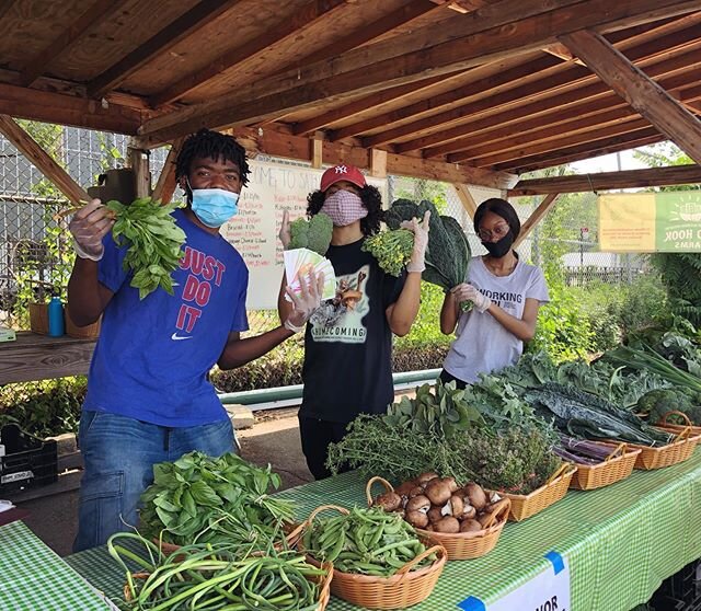 Farm stand is open! Arugula, basil, herbs, sugar snaps, mushrooms, turnips, strawberries, lettuce, garlic scales, peaches, and more!!! Discount for NYCHA residents and $2 in Healthbucks for every $5 spent with SNAP! Every Saturday at the Columbia Street Farm, 560 Columbia Street 🥬🍑🍓🥦🥬