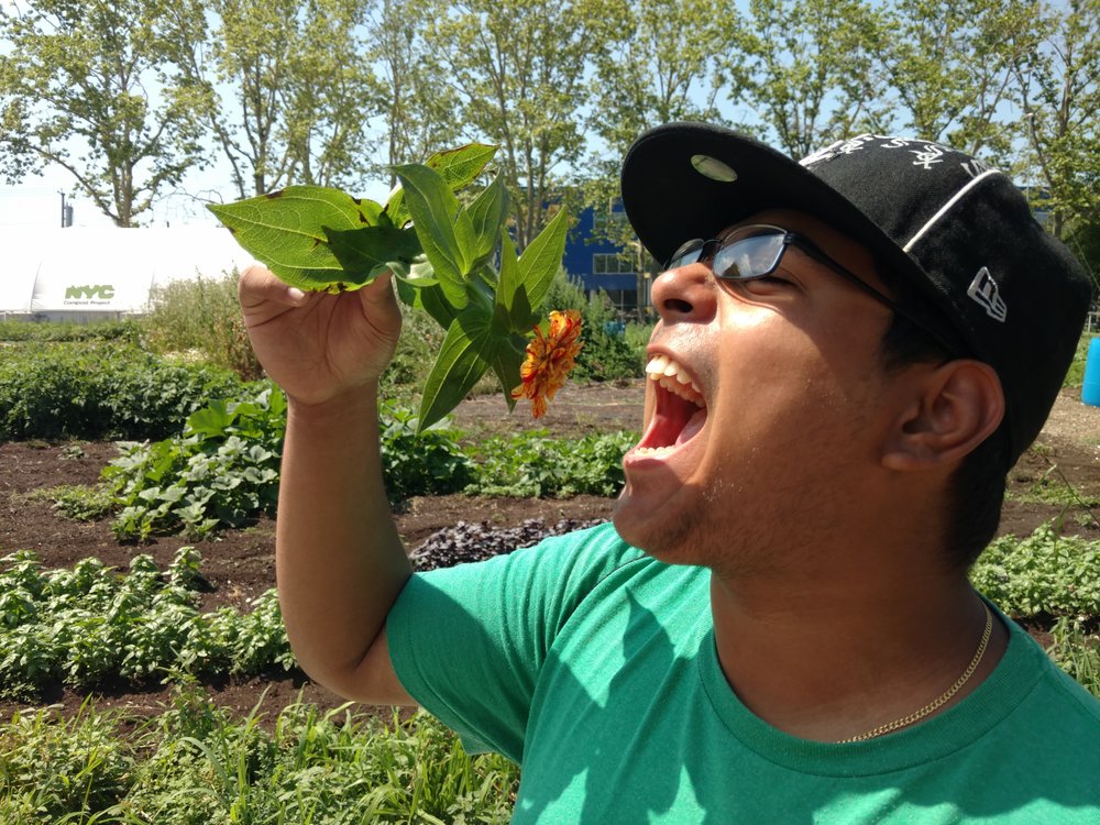  Did you know that zinnias are edible? 