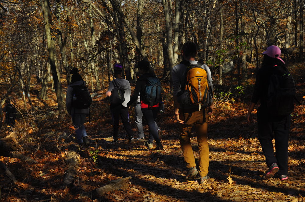  The fall crew hiking in upstate New York. 