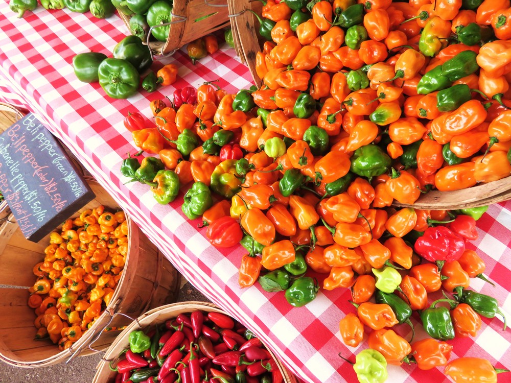 An abundance of peppers at the market... just in time for the Pepper Challenge!