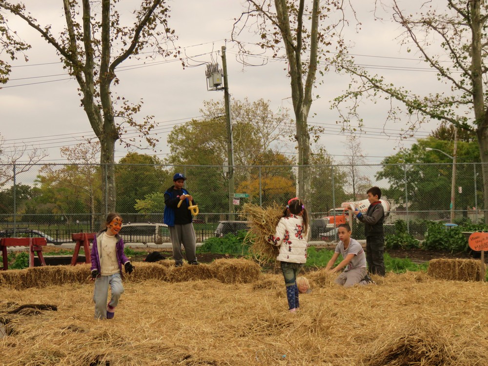 Pumpkin patch repurposed into hay mayhem