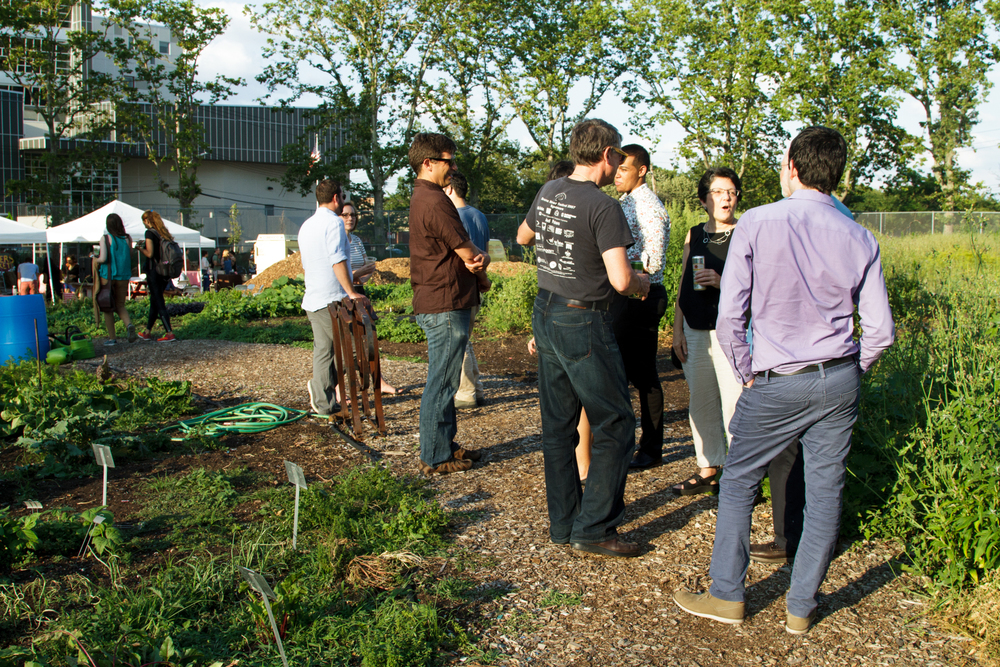 Red Hook Community Farm_Sherridon Poyer-0722.jpg