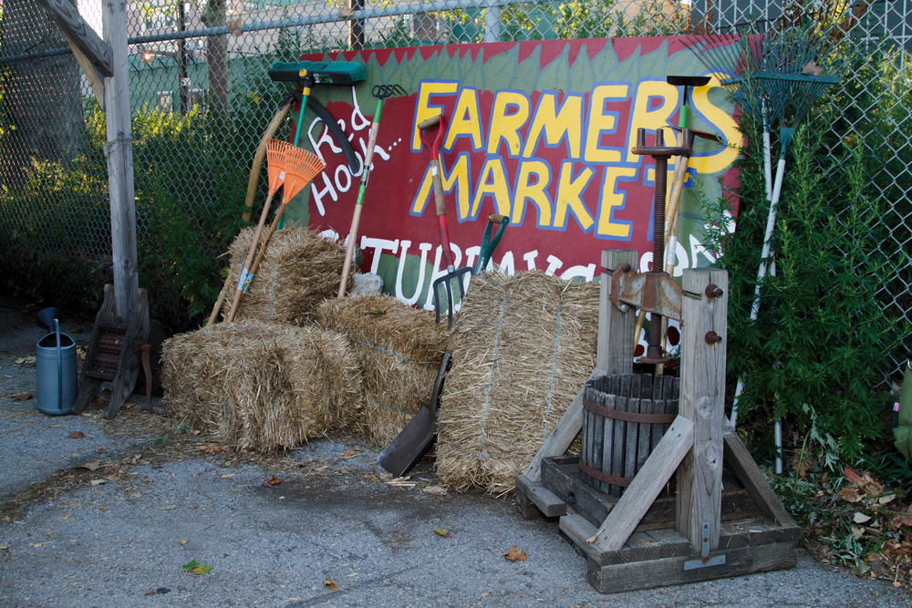 Red Hook Community Farm_Sherridon Poyer-0862.jpg