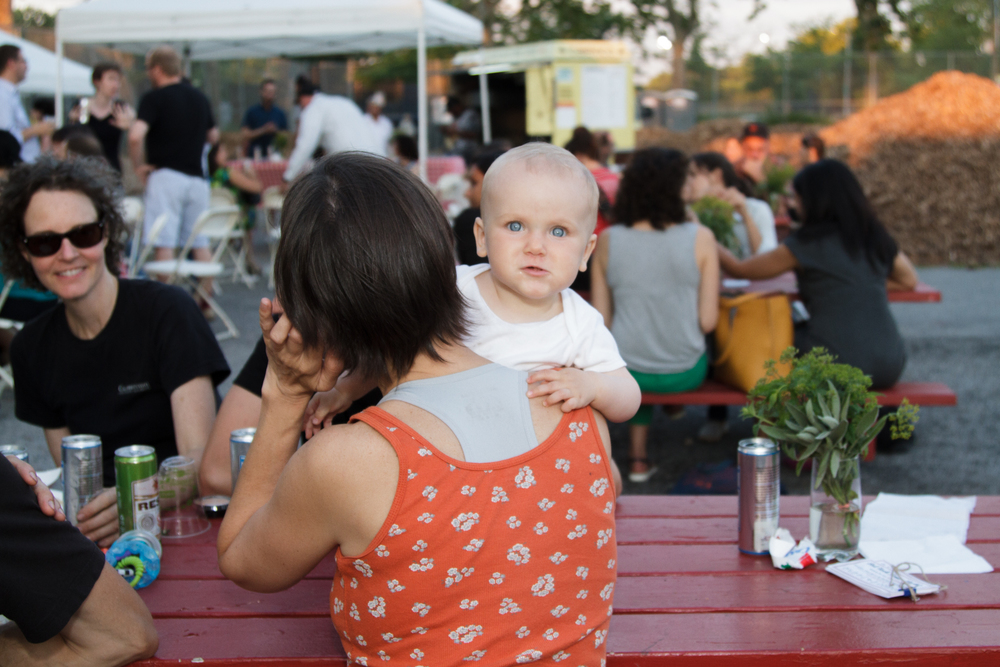 Red Hook Community Farm_Sherridon Poyer-0891.jpg